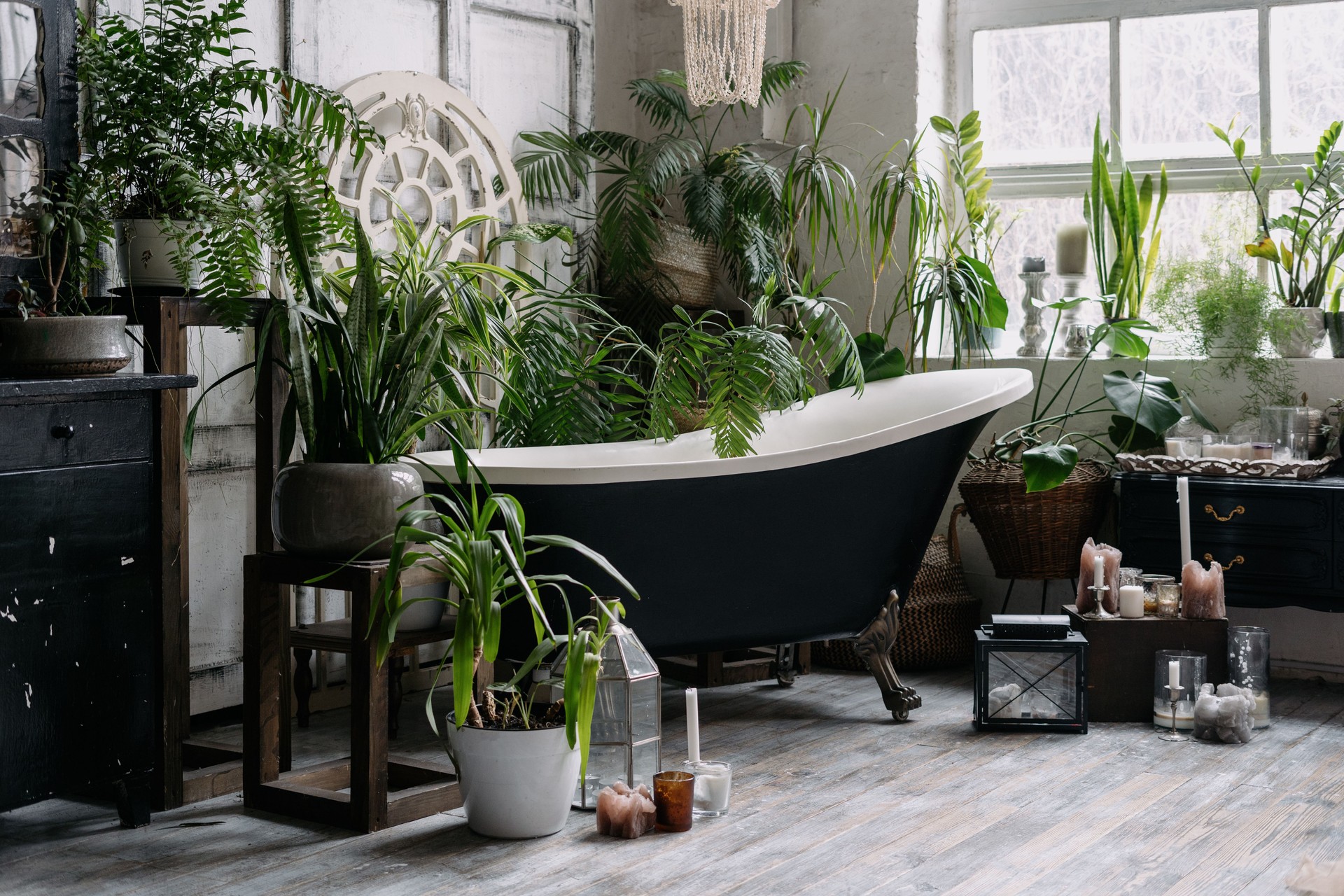 Bohemian bathroom with lots of potted greenery